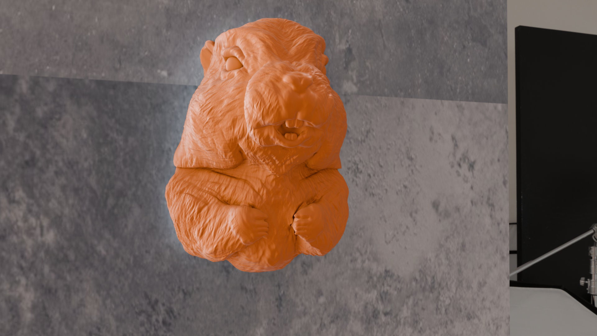 プレーリードッグの壁掛け マーモットの笑顔の頭の壁掛け、プレーリードッグ、かわいい