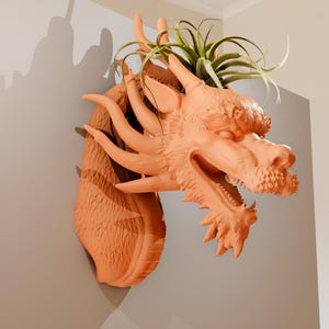 Könnte beinhalten: Ein terracotta-Drachenkopf-Pflanztopf mit einer grünen Luftpflanze, die aus der Oberseite wächst. Der Drachen hat den Mund offen und die Augen geschlossen.