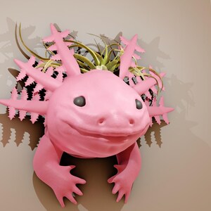May include: A pink axolotl planter with green air plants growing out of its head. The axolotl is smiling and has a textured surface.