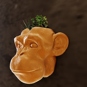May include: A terracotta-coloured monkey head planter with a small succulent plant growing inside. The planter is mounted on a dark brown wall.