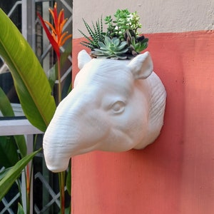 Tapir head planter wall mount, 3d jungle animal head , home and living,animal head wall mount outdoor and gardening, home decor, wall decor