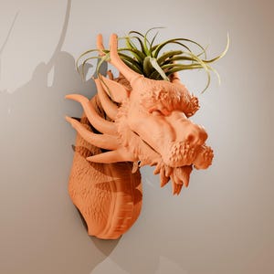 May include: A terracotta dragon head planter with a green air plant growing out of the top.