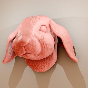 wall mounted Bunny Rabbit head, Hare wall art