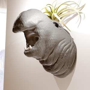 May include: A gray ceramic planter shaped like a creature's head with an open mouth and visible teeth. A small air plant is growing out of the top of the planter.