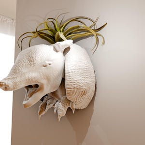 May include: A white ceramic sculpture of an armadillo with a green plant growing out of its back. The sculpture is mounted on a white wall.