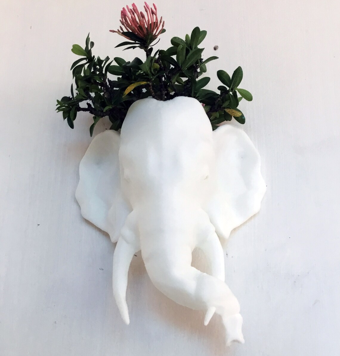Indian Elephant Wall Planter/ Handmade Wall Planter /home and Etsy