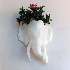 Indian elephant wall planter/ Handmade wall Planter /home and living/outdoor and gardening/indoor planters and pots, wall planter, plant pot