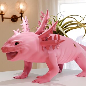 May include: A pink axolotl planter with a green air plant growing out of its back. The planter is made of ceramic and has a whimsical, cartoonish design.