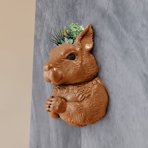 May include: A brown ceramic squirrel planter with a green succulent plant growing out of the top. The squirrel planter is mounted on a gray wall.