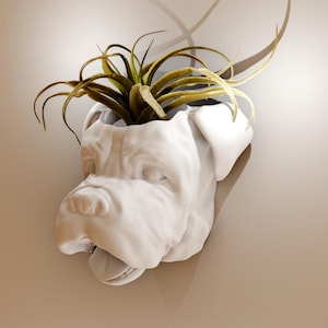 May include: White ceramic planter shaped like a dog's head with a green air plant growing inside.
