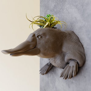 platypus head wall mount planter pot, flower vase, landscape, garden, animal planter, cute, children's room toy, art, decor, home and living