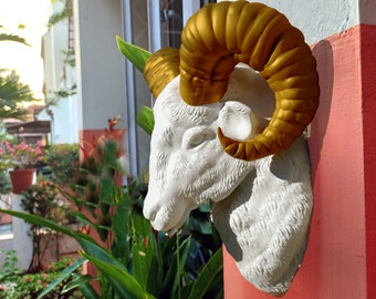 Ram head wall mount, farm decor, mountain Ram
