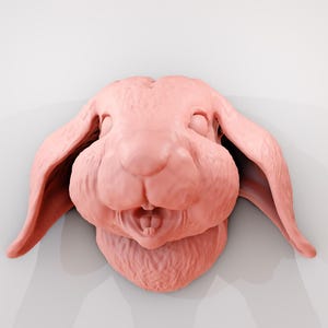 wall mounted Bunny Rabbit mouth open head, Hare wall art