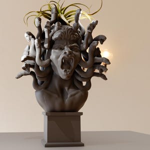 Könnte beinhalten: Eine graue Steinskulptur von Medusa, der griechischen mythologischen Figur mit Schlangenhaaren, auf einem quadratischen Sockel. Die Skulptur ist detailliert mit einem knurrenden Ausdruck und einer Pflanze, die aus dem Kopf wächst.