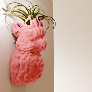 May include: A pink ceramic cockatoo head planter with an air plant growing out of the top.