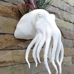 May include: A white, wall-mounted sculpture of a cuttlefish with several tentacles, holding a small arrangement of succulents. The sculpture is mounted on a multi-colored stone wall, creating a unique decorative piece.