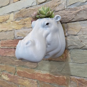 Hippo head wall mount, planter pot, flower vase, animal heads, Hippopotamus, home and living, outdoor and gardening, home decor, wall decor