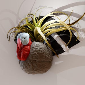 May include: A gray and red turkey head sculpture with a green air plant growing out of the top. The sculpture is mounted on a black and white striped background.