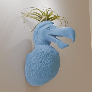 Può includere: Una testa di dodo in ceramica blu chiaro con una piccola pianta aerea che cresce dalla cima. La testa di dodo è un oggetto di arredamento da parete.
