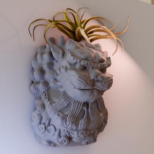 Puede incluir: Una escultura de piedra gris de una cabeza de león con detalles intrincados, montada en una pared con una planta verde que crece en la parte superior.