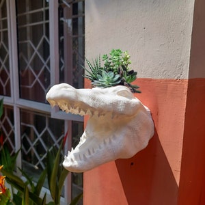 May include: White ceramic alligator planter with an open mouth, mounted on a wall. The planter is filled with green succulents.