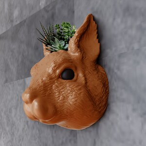 Puede incluir: Un macetero de cerámica de color terracota con forma de cabeza de conejo con una pequeña planta suculenta creciendo en su interior.