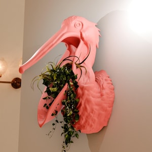 May include: A pink pelican sculpture with a plant growing out of its mouth, mounted on a wall.