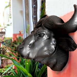 Könnte beinhalten: Eine schwarze Büffelkopfskulptur, die an einer roten Wand befestigt ist. Die Skulptur ist detailliert mit realistischen Merkmalen und strukturiertem Fell.