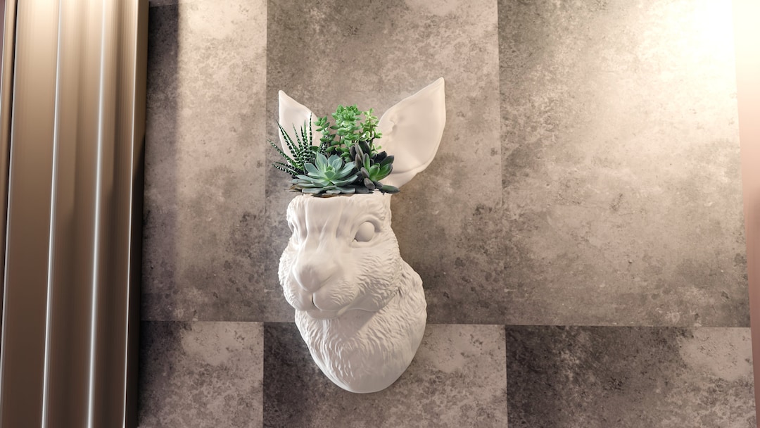 Wall Mounted Rabbit Head Planter, Succulent, Cactus, Pot, Flower Vase ...