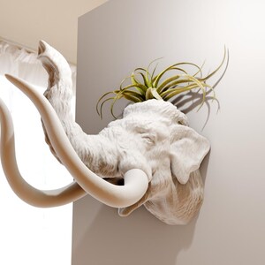May include: White ceramic mammoth head wall decor with a green air plant growing out of the top.