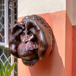 Könnte beinhalten: Eine braune, 3D-gedruckte Skulptur eines Orang-Utan-Kopfes, die an einer Wand montiert ist. Die Ohren des Orang-Utans sind bedeckt und sein Mund ist leicht geöffnet.