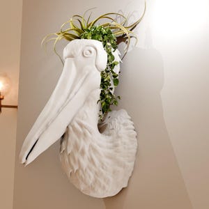 May include: White ceramic pelican head sculpture with a green plant growing out of the top. The sculpture is mounted on a wall.