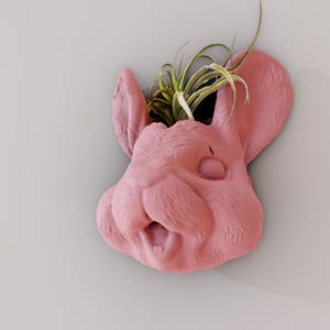 Può includere: Un vaso da fiori in ceramica rosa a forma di testa di coniglio con una piccola pianta d'aria che cresce all'interno.
