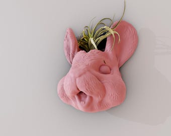 chinchilla head smiling wall mount planter pot flower vase, rat , animal , home and living, decor, faux taxidermy, hangings, pet