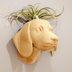 May include: A beige ceramic dog head planter with a green air plant growing out of the top.