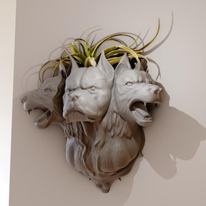 Può includere: Una scultura grigia di un cane a tre teste montata su un muro, con una pianta che spunta dalla parte superiore. La scultura ha una superficie dettagliata e strutturata ed è posizionata contro un muro bianco. La pianta ha foglie verdi e gialle.