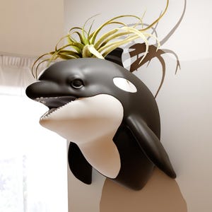 Può includere: Un vaso da fiori a forma di orca bianco e nero con una pianta aerea verde che cresce dalla cima.