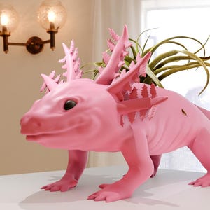 May include: A pink axolotl planter with a green air plant growing inside. The planter is made of ceramic and has a realistic axolotl design.