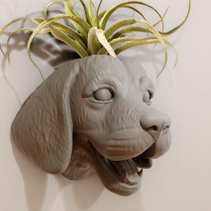May include: A grey ceramic planter shaped like a dog's head with a green air plant growing out of the top.