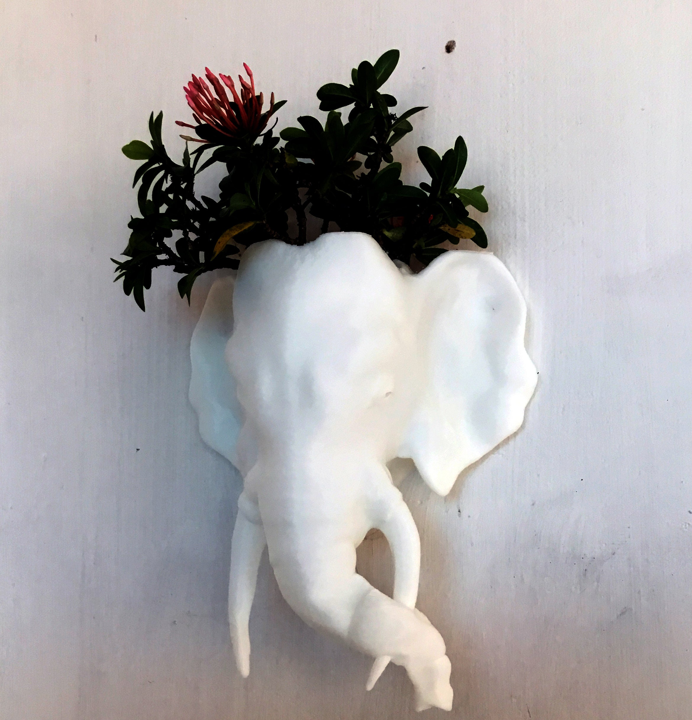 Indian Elephant Wall Planter/ Handmade Wall Planter /home and Etsy