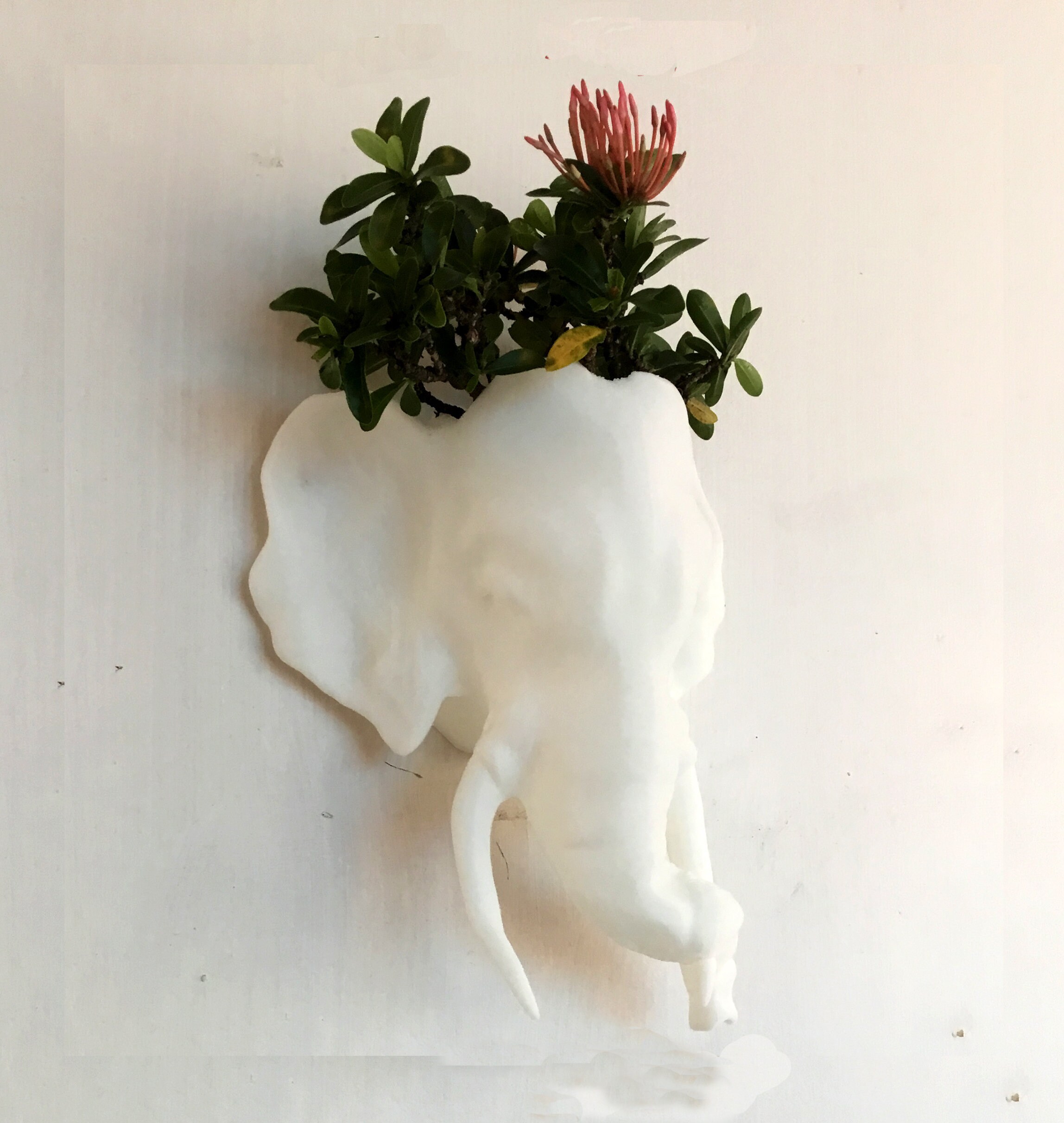 Indian Elephant Wall Planter/ Handmade Wall Planter /home and Etsy