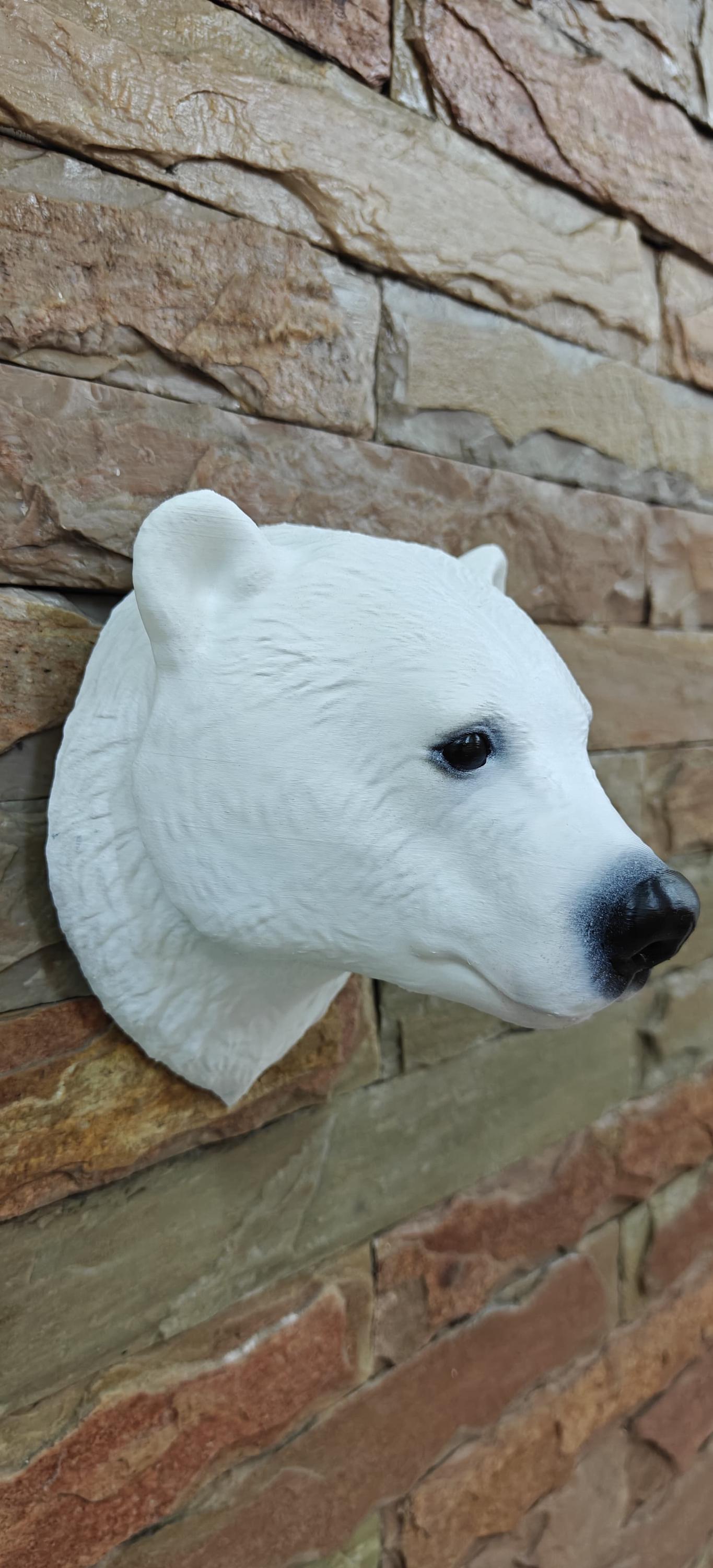Polar Bear Head Mount - Etsy