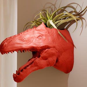 May include: A red dinosaur head planter with a green air plant growing out of the top.