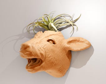 cow calf wall mouth open looking up mount planter pot flower vase cactus succulent farm and home decor, jersey cow head