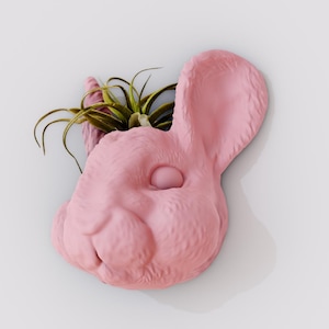 Può includere: Un vaso da fiori in ceramica rosa a forma di testa di coniglio con una piccola pianta d'aria che cresce all'interno.