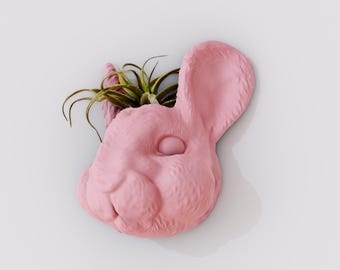 chinchilla head wall mount planter pot flower vase, rat , animal , home and living, decor, faux taxidermy, animal head, hangings, pet