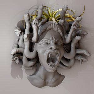 May include: A grey sculpture of Medusa, the Greek mythological figure with snakes for hair, with a green plant growing out of her head. The sculpture is mounted on a white wall.
