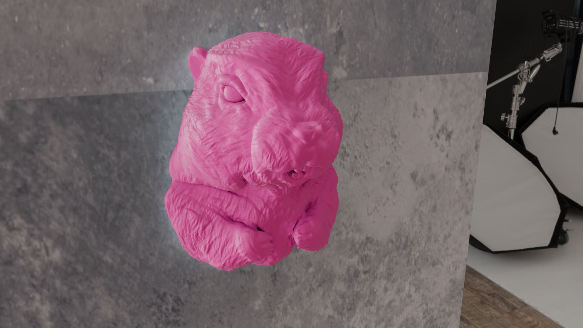 マーモットの笑顔の頭の壁掛け、プレーリードッグ、かわいい