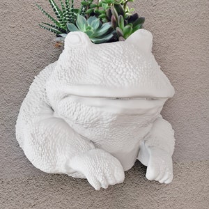 May include: White ceramic frog planter with a textured surface. The frog is sitting on a wall and has a small succulent plant growing inside.