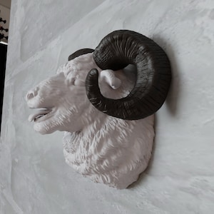 May include: A white ram's head sculpture with dark brown horns, mounted on a light grey wall. The ram's mouth is slightly open, and the sculpture has a textured surface, creating a rustic aesthetic.